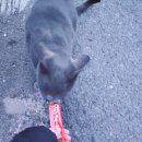 백연합외과의원 이미지