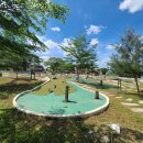 골프카페 이미지