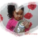 현서네마테차 이미지