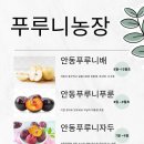 루니농장 이미지