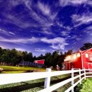 테마호텔 이미지