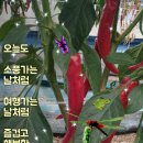 저속노화, 늙지 않는 삶의 태도 이미지
