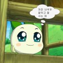진미일식 이미지