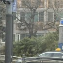 또미카츠 네이버블로그