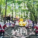 별빛테마체험관광 | 경북 청도 가볼만한곳 테마파크 추천 청도 프로방스