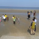 임자초등학교 이미지