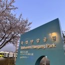 뚝섬한강공원 | 서울벚꽃명소 뚝섬벚꽃 피크닉 미미미누 영케이 본 후기