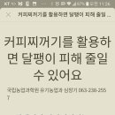 커피 찌꺼기 배추밭 달팽이 퇴치 이미지