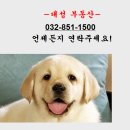 해돋이공원(동산, 더샾 앞) 네이버블로그