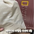 태가나:) 캐리어 파우치 8종 솔직후기 여행 필수 템.