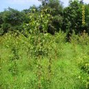 목원농장 이미지