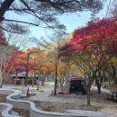 남천 - 동구 가양로 14-1 | 남천