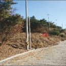 에이스펜션 이미지