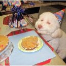 바쓰데이 이미지