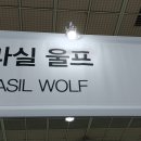 만강몰