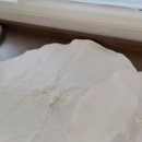 목화마트 이미지