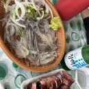 속초 오징어난전 주차 , 포장 , 시세 정보 : 오징어회 맛집 신양호 내돈내산 솔직후기