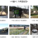 철원 평화마을 서울캠핑장 이미지