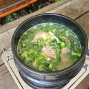 백운산장 | 백운계곡맛집 포천바베큐장 어울림산장 셀프바베큐장 당일캠프닉 후기