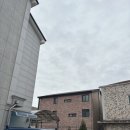 가온분식 이미지