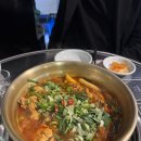하트루바이오 | [2504] 벚꽃에 미친 사람의 4월 일상 기록