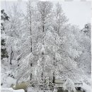 동해황토민박 이미지