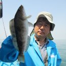 바다낚시 - 영덕군 축산항길 21 | 바다낚시