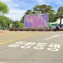 하늘바람휴먼시1단지(아)경로당 | 무주산골영화제, 1년에 단 한 번 별이 쏟아지는 영화관! 등나무운동장 덕유산 야외상영 후기와 준비물