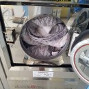 아너스세탁 이미지