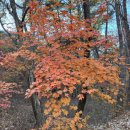 석남사 3호점 이미지