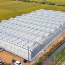 비에스팜 이미지