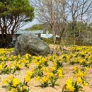 경남수목원=2만 송이 봄꽃 만개한 수목원 이미지