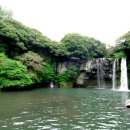 천지연폭포 이미지