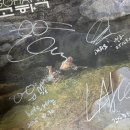 라노스 | 포크라노스..팝업 후기 ..