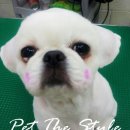 펫더스타일