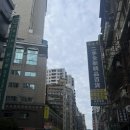 [대만-타이베이 4탄] 소식가들 미식의 나라로 떠나다! (feat.까르푸꾸이린점,일갑자찬음,시먼역,난징...