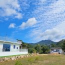 팔공포레스트 이미지