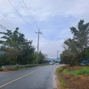 광무목장 이미지