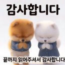돼지한마리 | 수성구 범어동 갈비맛집 명동돼지한마리 | 내돈내산 후기