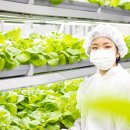 연암농장3 이미지