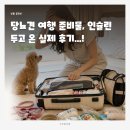 당사모 - 북구 학사로17번가길 5 | 당뇨견 여행 준비물, 인슐린 두고 온 실제 후기와 체크리스트