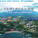 제주베이