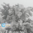 눈꽃사냥
