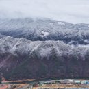 시샘 이미지