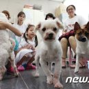 포근하개 이미지