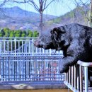 베이트리 이미지