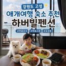 하버빌펜션 | 강원도 고성 아야진 애견동반 숙소, 하버빌펜션 슈페리어 내돈내산 솔직후기