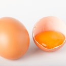 노른자 이미지