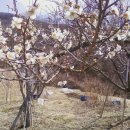 수종농장 이미지