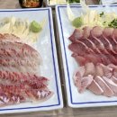 백두환경 - 316 | 세종 고운동 가성비 횟집 추천 ‘백두회수산’ 내돈내산 후기